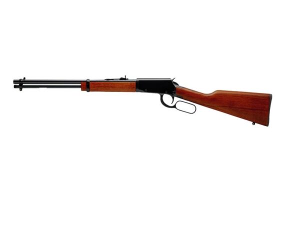 Rossi Rio Bravo 22LR 18" Barrel 15+1 RL22181WD
